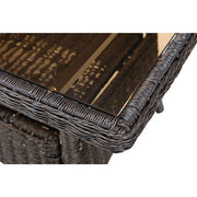 Hanover - Sun Porch 4pc Set: 1 Loveseat, 2 Side Chairs and Coffee Table - Tan/Brown-United Backyard